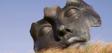 face muse