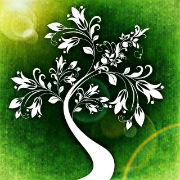 tree small